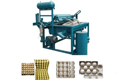 Egg Tray Solutions: Efficient, Eco-Friendly Packaging for Modern Egg Production